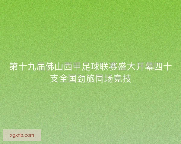 第十九届佛山西甲足球联赛盛大开幕四十支全国劲旅同场竞技